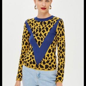 Topshop chevron sweater